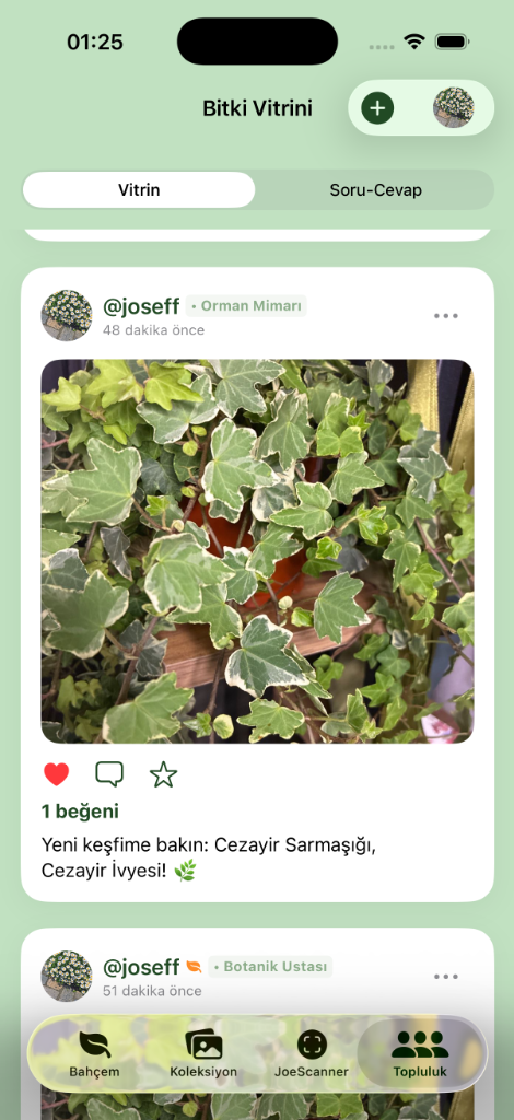 plantjoe app - collection